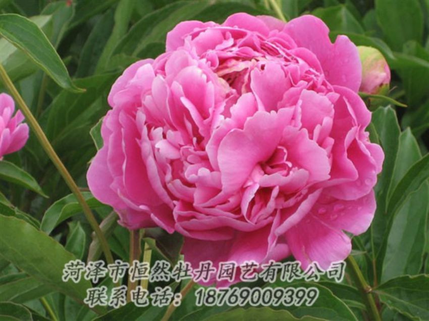 點(diǎn)擊查看詳細(xì)信息<br>標(biāo)題：月照山河 閱讀次數(shù)：1067